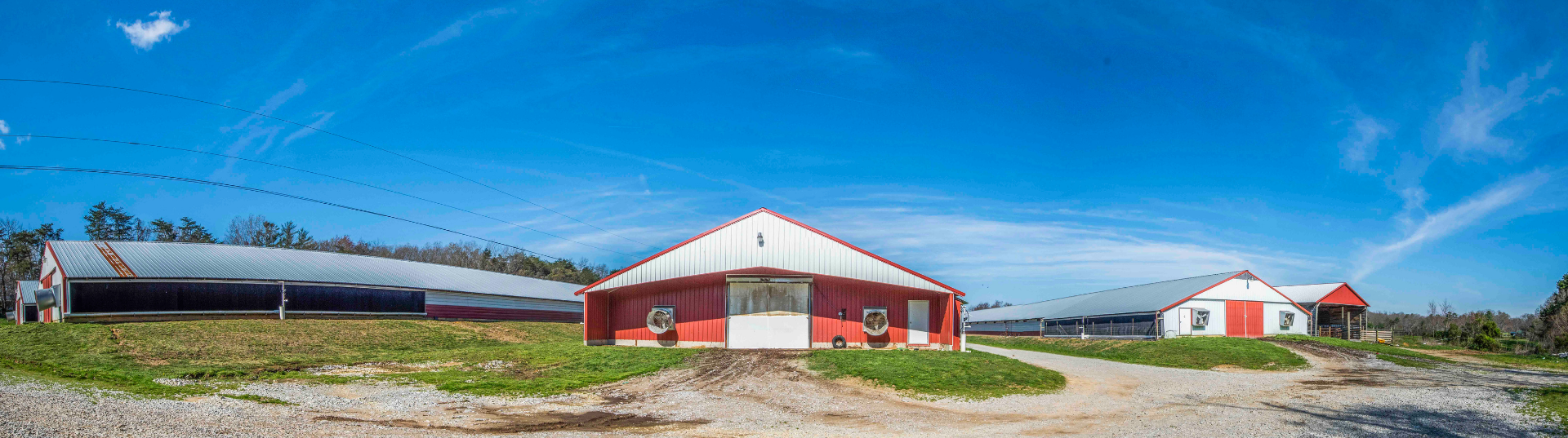 poultry farm for sale in tennessee